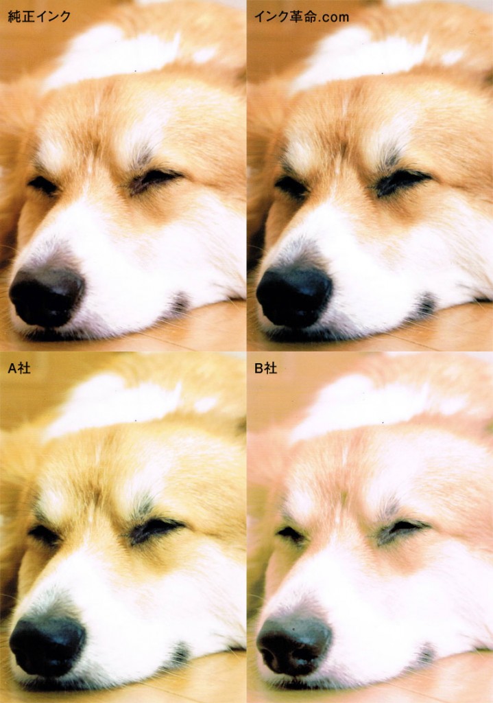 写真　比較